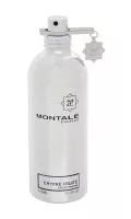 Montale Paris Chypré - Fruité, woda perfumowana, 100ml (U)