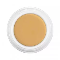 Kryolan, Dermacolor Camouflage, kamuflaż, 4g, D 2