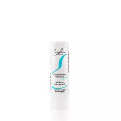 Embryolisse Protective Repair Stick regenerujący balsam do ust w sztyfcie 4g