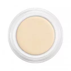 Kryolan, Dermacolor Camouflage, kamuflaż, 4g, D 61