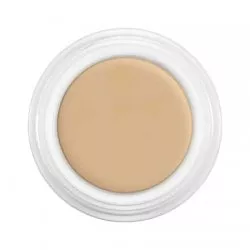 Kryolan, Dermacolor Camouflage, kamuflaż, 4g, D Ivory