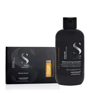 Alfaparf Milano Semi Di Lino Cellula Madre, zestaw regenerujący, ampułki + aktywator