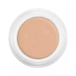 Kryolan, Dermacolor Camouflage, kamuflaż, 4g, D 2W