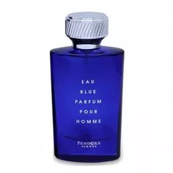 Pendora Scents Eau Blue Parfum Pour Homme woda perfumowana spray 100ml (M)