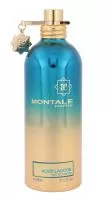 Montale Paris Aoud Lagoon, woda perfumowana, 100ml (U)