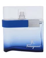Salvatore Ferragamo F by Ferragamo Free Time, woda toaletowa, 100ml (M)
