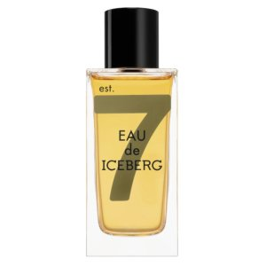 Iceberg Eau de Iceberg Amber Pour Homme woda toaletowa spray 100ml (M)