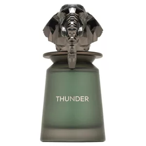 French Avenue Thunder woda perfumowana spray 100ml (M)
