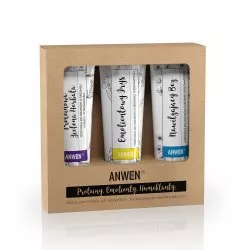 Anwen, wegański zestaw 3 odżywek do średniej porowatości (zielona herbata, irys, bez)