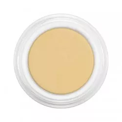 Kryolan, Dermacolor Camouflage, kamuflaż, 4g, D 1