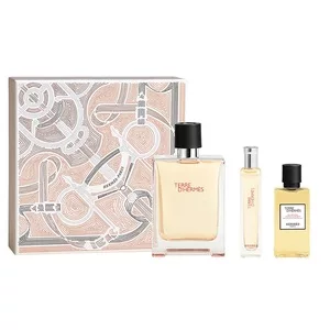 Hermes Terre D'Hermes zestaw dla mężczyzn woda toaletowa 100ml + mini woda toaletowa 15ml + żel pod prysznic 40ml