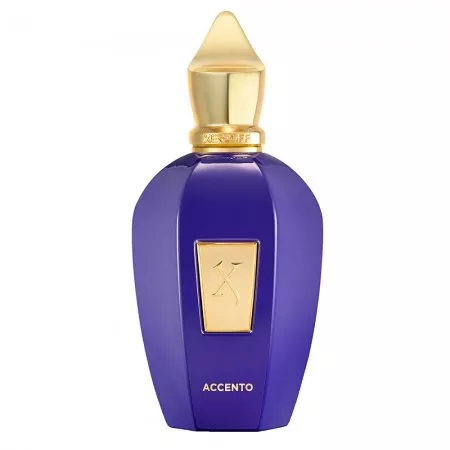 Xerjoff Accento woda perfumowana spray 100ml (U)