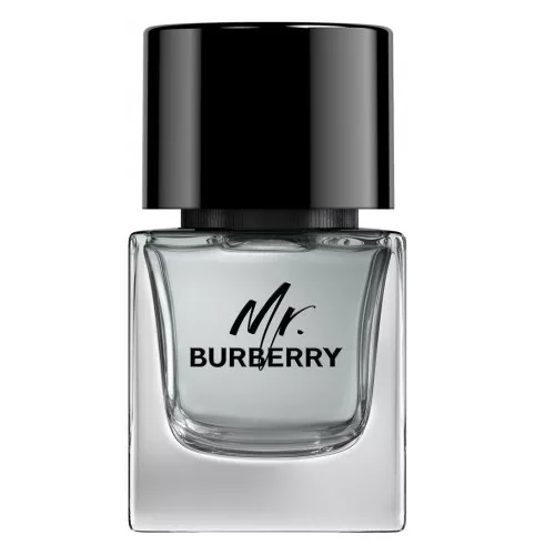 Burberry Mr. Burberry woda toaletowa spray 50ml (M)