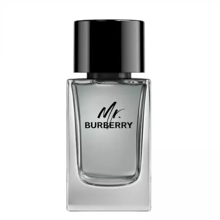 Burberry Mr. Burberry woda toaletowa spray 100ml (M)