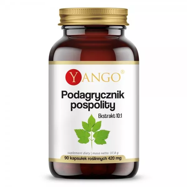 Yango Podagrycznik pospolity ekstrakt 10:1 suplement diety 90 kapsułek
