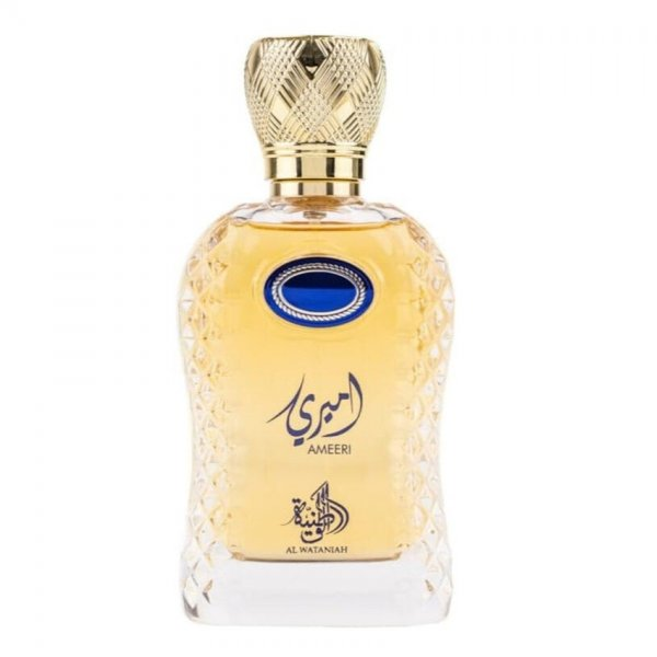 Al Wataniah Ameeri woda perfumowana spray 100ml (M)