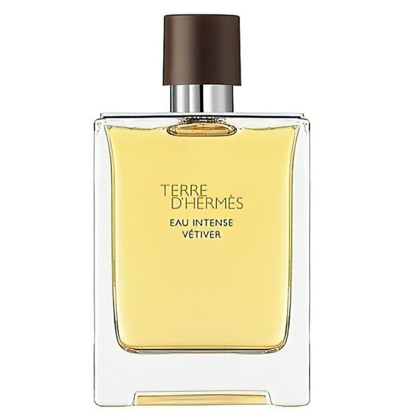 Hermes Terre D'Hermes Eau Intense Vetiver woda perfumowana dla mężczyzn, drzewno-aromatyczna, 200ml