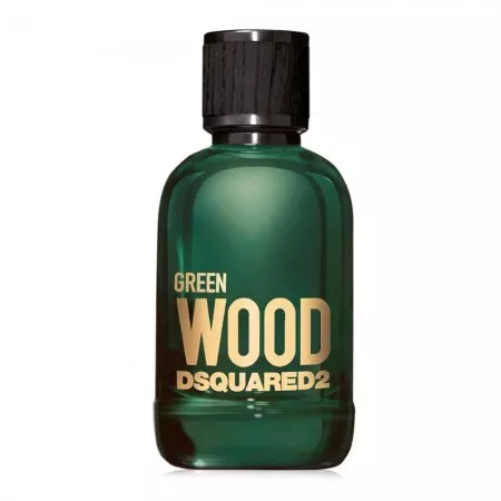 Dsquared2 Green Wood Pour Homme woda toaletowa spray 100ml (M)