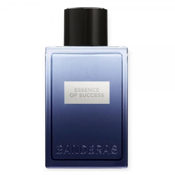 Antonio Banderas Essence of Success woda toaletowa spray 100ml (M)