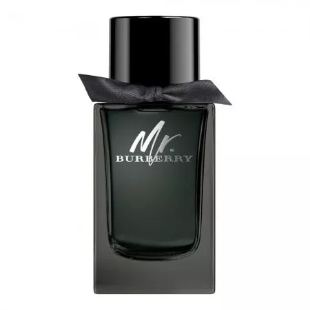 Burberry Mr.Burberry woda perfumowana spray 100ml (M)