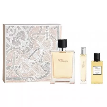 Hermes Terre D'Hermes zestaw woda toaletowa spray 100ml + woda toaletowa spray 15ml + żel pod prysznic 40ml (M)