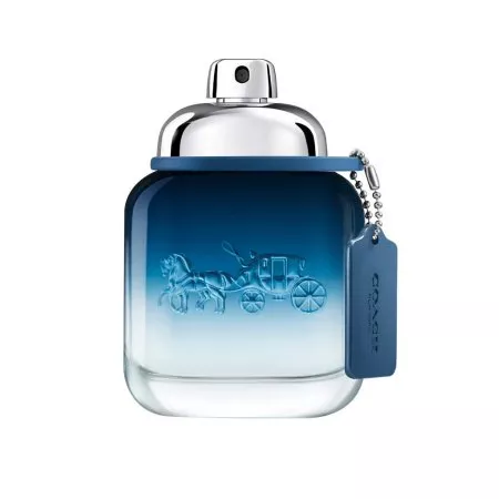 Coach Blue woda toaletowa spray 40ml (M)