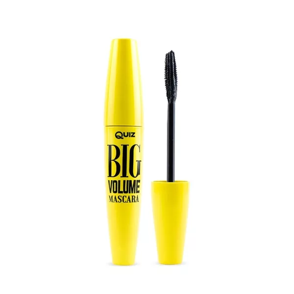 Quiz Cosmetics Big Volume Mascara zwiększający objętość tusz do rzęs 8g
