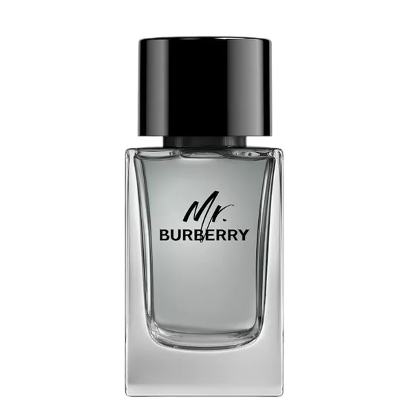 Burberry Mr. Burberry woda toaletowa spray 100ml (M)