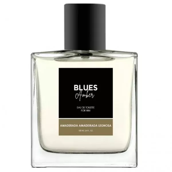 Melody Blues Amber Men woda toaletowa spray 100ml (M)
