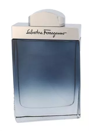 Salvatore Ferragamo Subtil Pour Homme, woda toaletowa, 100ml (M)