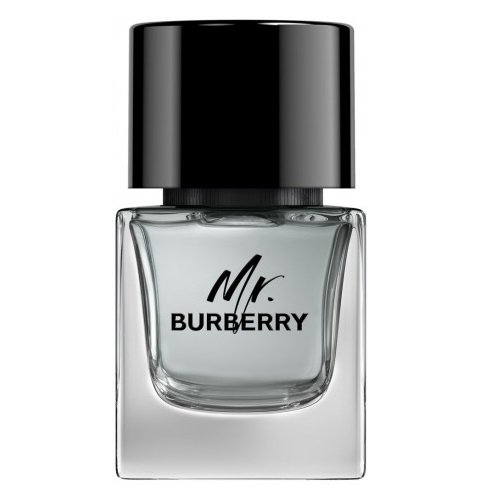 Burberry Mr. Burberry woda toaletowa spray 50ml (M)