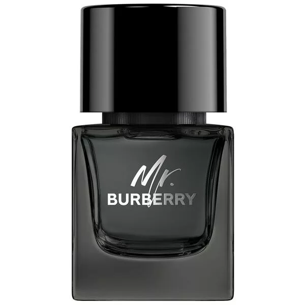Burberry Mr.Burberry woda perfumowana spray 50ml (M)