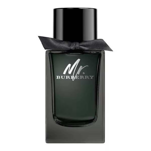 Burberry Mr.Burberry woda perfumowana spray 100ml (M)
