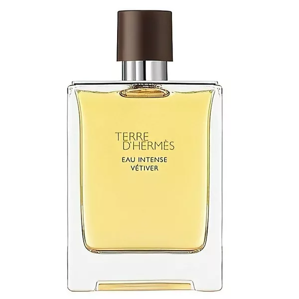 Hermes Terre D'Hermes Eau Intense Vetiver woda perfumowana dla mężczyzn, drzewno-aromatyczna, 200ml