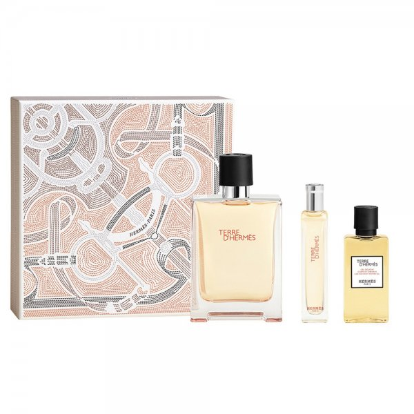 Hermes Terre D'Hermes zestaw woda toaletowa spray 100ml + woda toaletowa spray 15ml + żel pod prysznic 40ml (M)